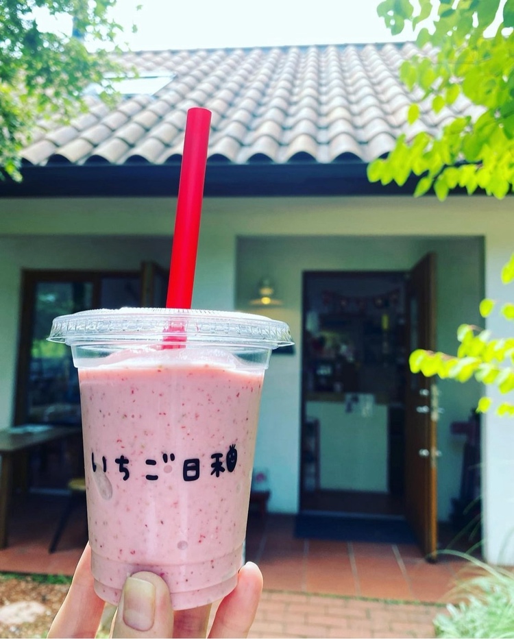 いちご日和