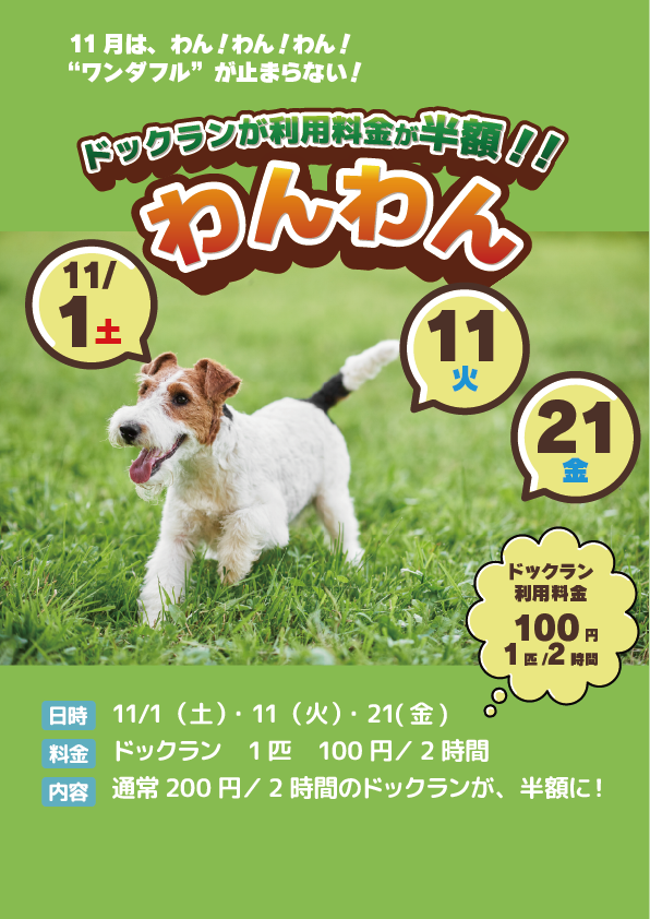 わんわんわんだふるデー！ドッグラン