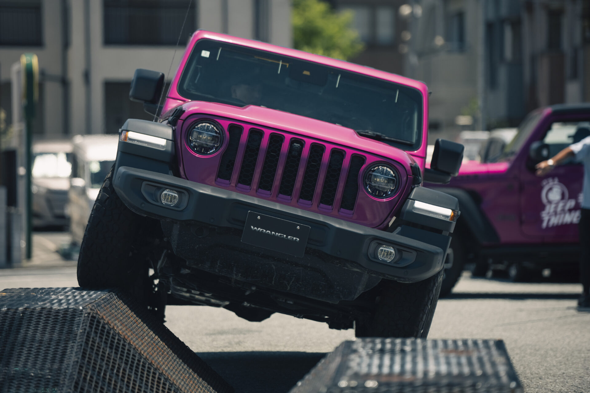 マテラの森に登場するピンクラングラー