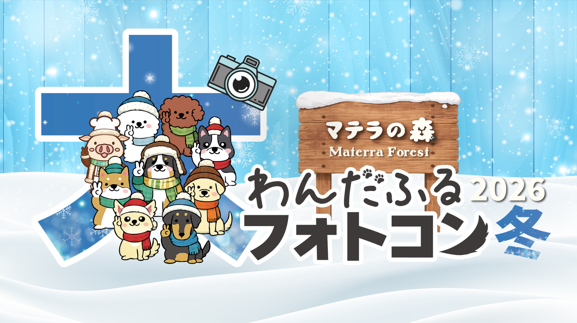 マテラの森 わんだふるフォトコン2026冬