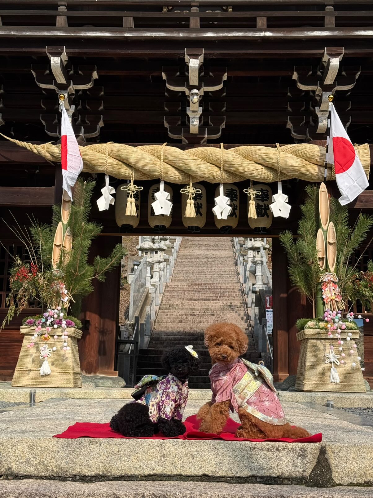 マテラの森賞 くうちゃん・らんちゃん