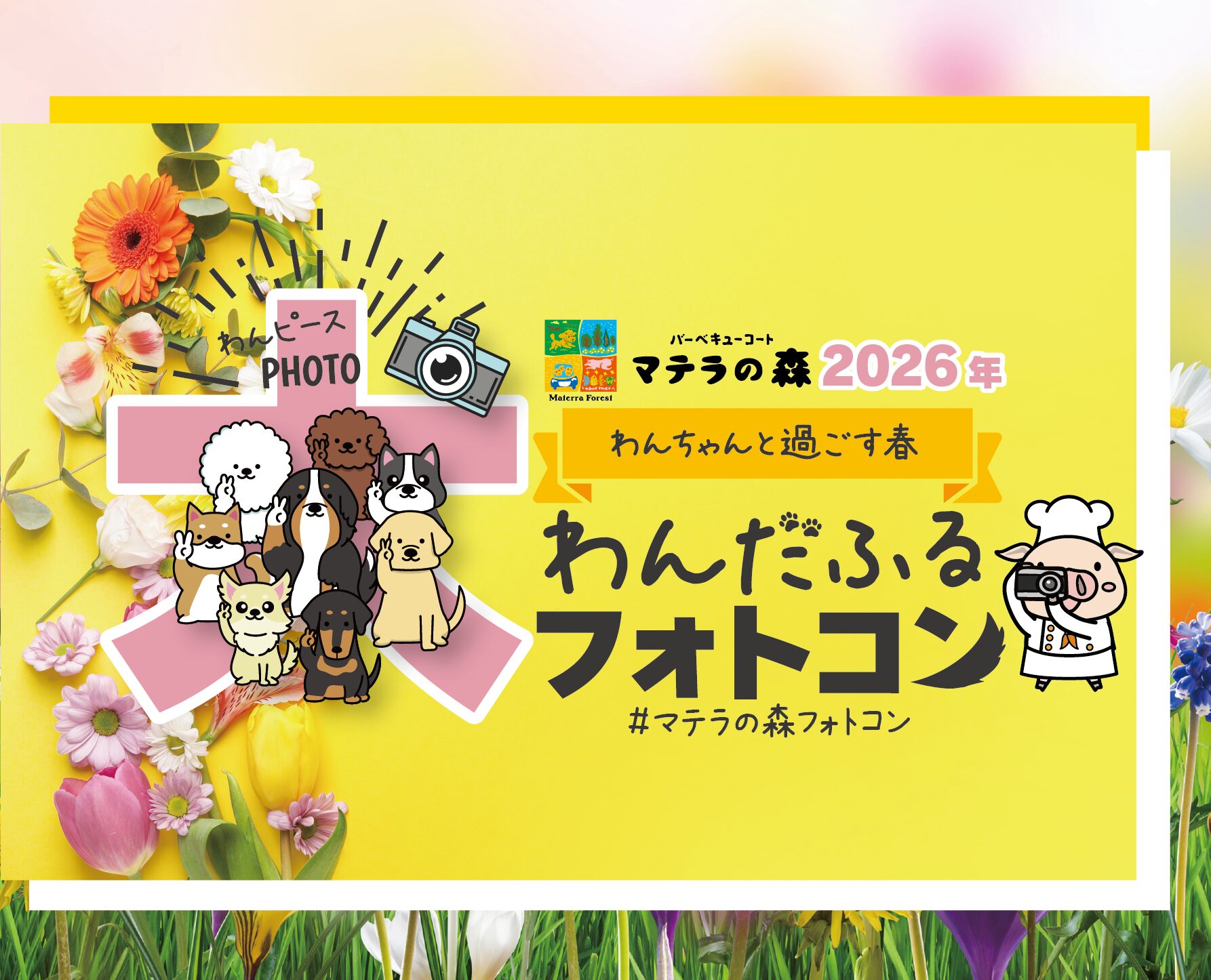 わんだふるフォトコン2026春